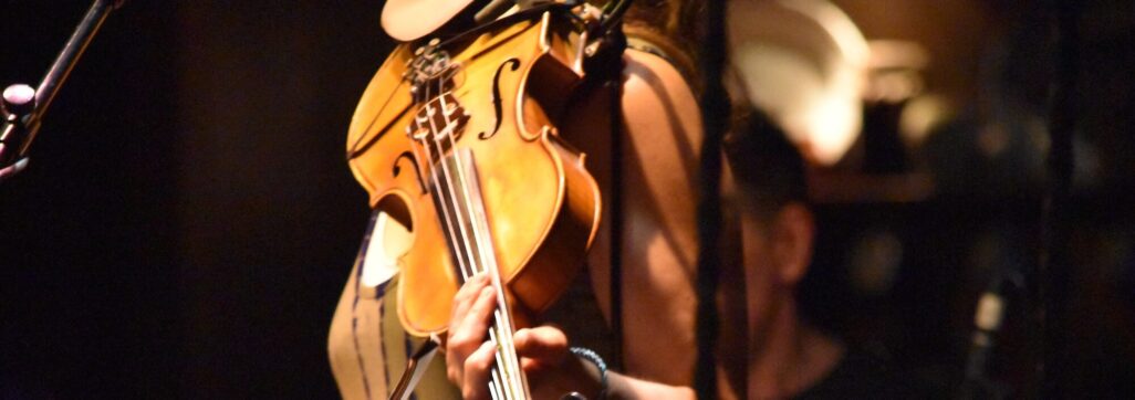 Violinist in natural colors